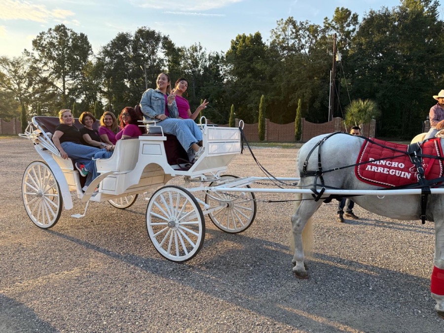 Inspira Ranch horse-drawn carriage