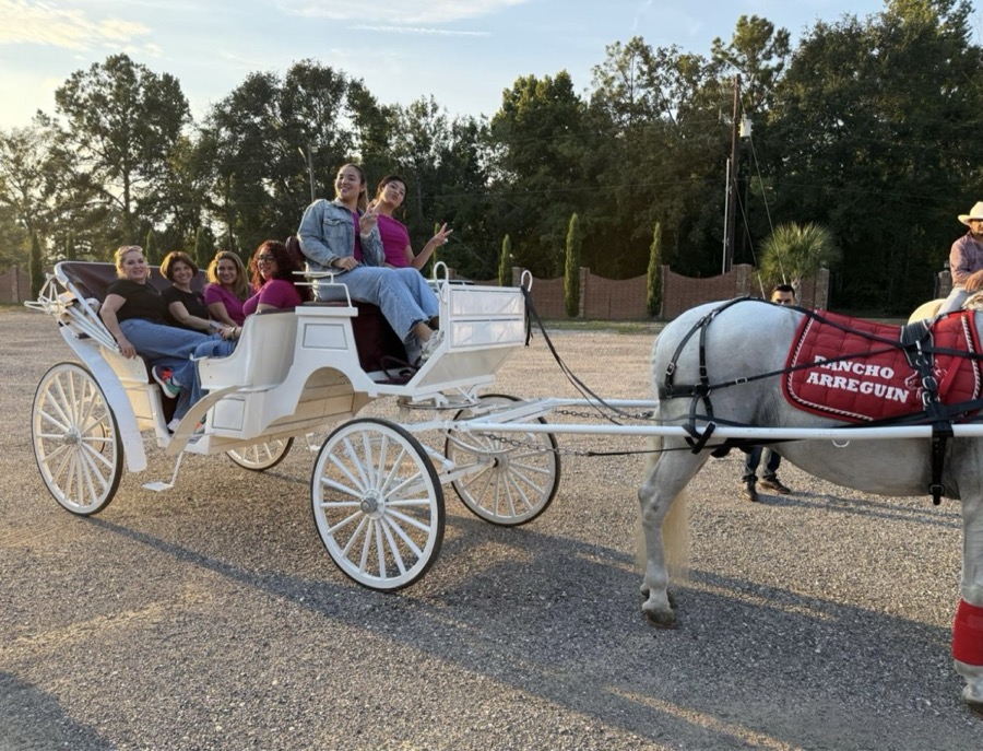 Inspira Ranch horse and carriage during event