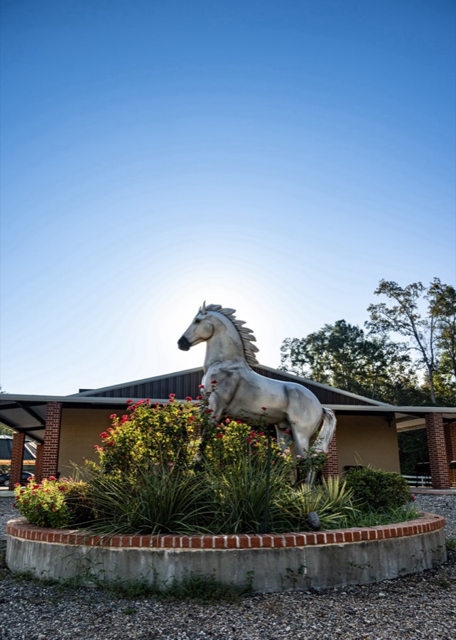 Inspira Ranch event grounds
