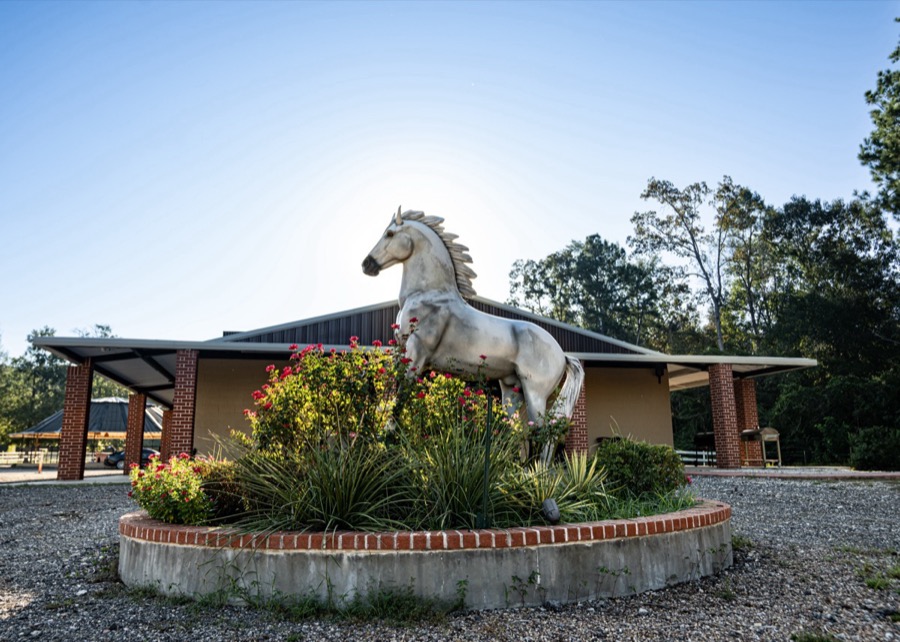 Inspira Ranch grounds